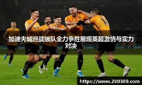加迪夫城迎战狼队全力争胜展现英超激情与实力对决